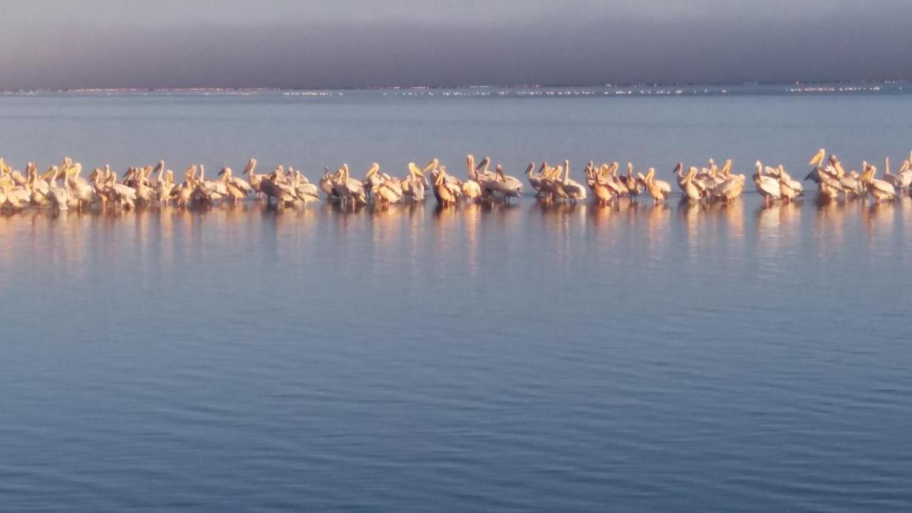 Haus Schaaf B&B Walvis Bay Exterior foto